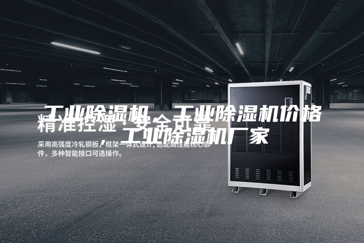 工业除湿机，工业除湿机价格，工业除湿机厂家