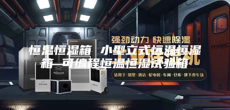 恒温恒湿箱 小型立式恒温恒湿箱 可编程恒温恒湿试验箱