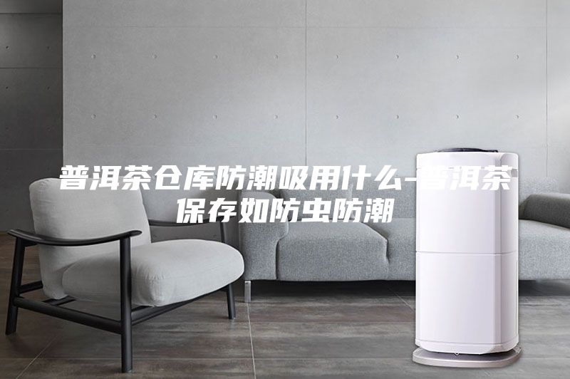 普洱茶仓库防潮吸用什么-普洱茶保存如防虫防潮