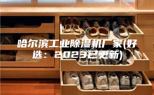 哈尔滨工业除湿机厂家(好选：2023已更新)