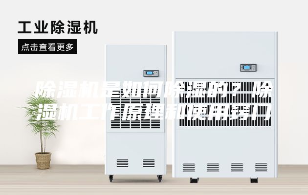 除湿机是如何除湿的？除湿机工作原理和使用窍门