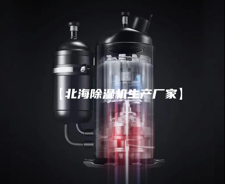 【北海除湿机生产厂家】