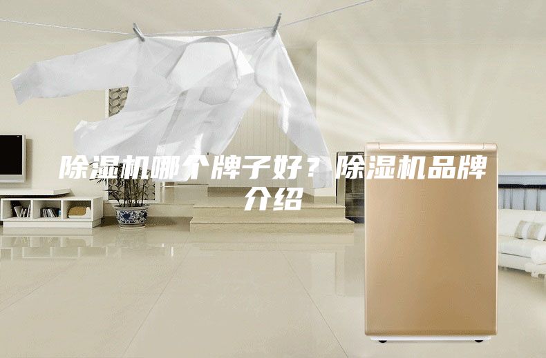 除湿机哪个牌子好？除湿机品牌介绍