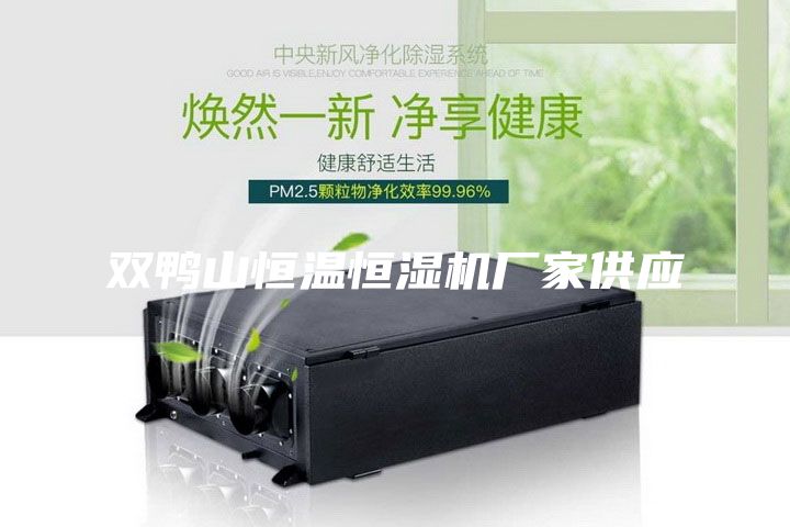 双鸭山恒温恒湿机厂家供应