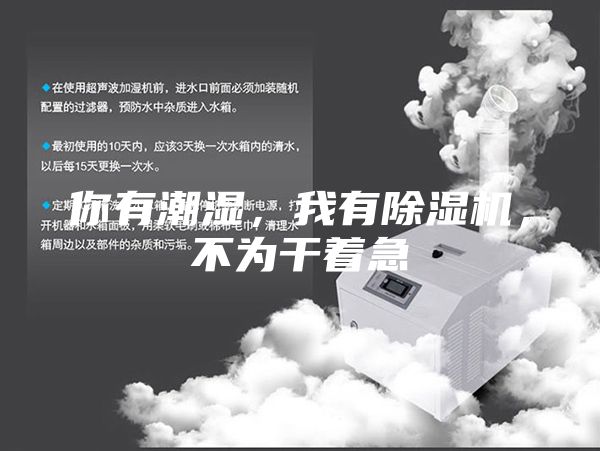 你有潮湿，我有除湿机，不为干着急