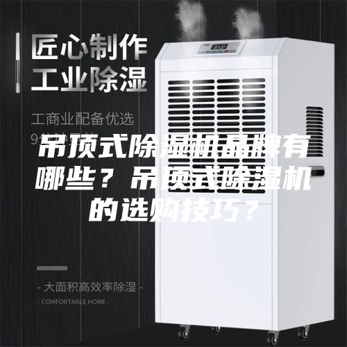 吊顶式除湿机品牌有哪些？吊顶式除湿机的选购技巧？