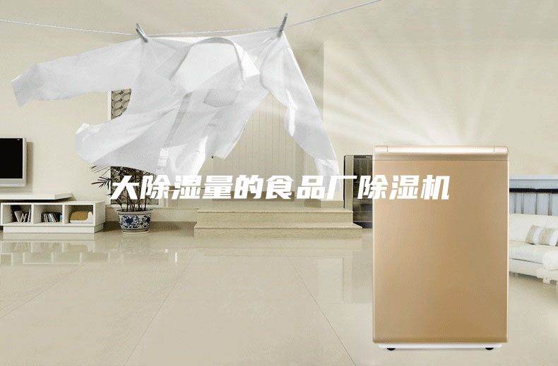 大除湿量的食品厂除湿机