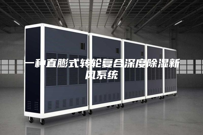 一种直膨式转轮复合深度除湿新风系统