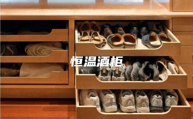 恒温酒柜