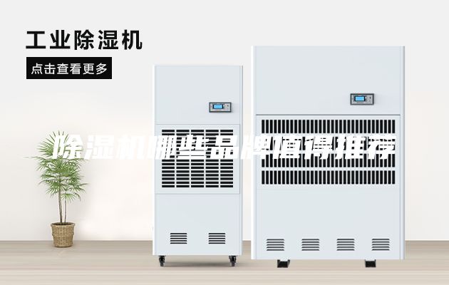 除湿机哪些品牌值得推荐