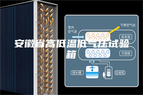 安徽省高低温低气压试验箱