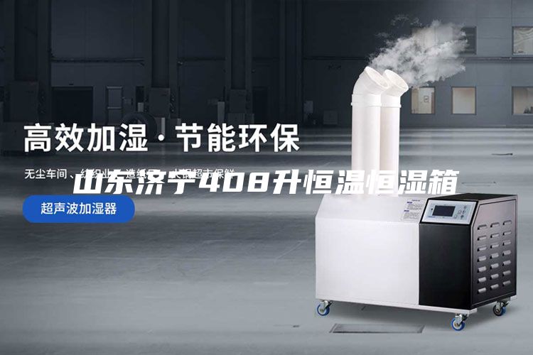 山东济宁408升恒温恒湿箱