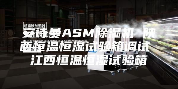 安诗曼ASM除湿机 陕西恒温恒湿试验箱调试 江西恒温恒湿试验箱