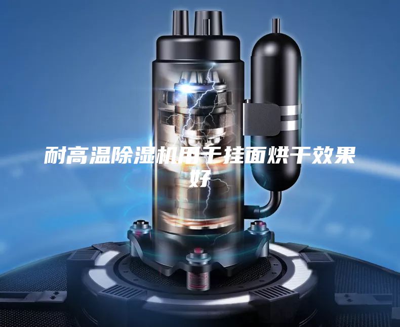 耐高温除湿机用于挂面烘干效果好