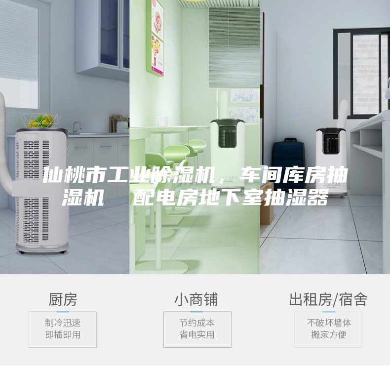 仙桃市工业除湿机，车间库房抽湿机  配电房地下室抽湿器