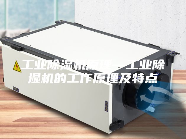 工业除湿机原理—工业除湿机的工作原理及特点