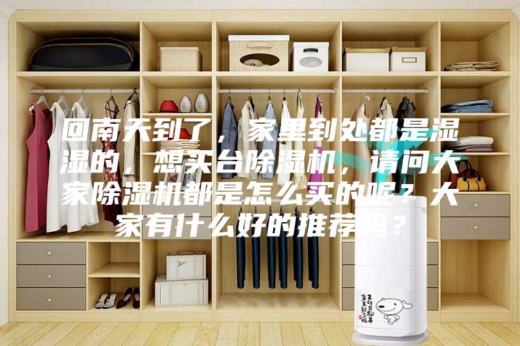 回南天到了，家里到处都是湿湿的，想买台除湿机，请问大家除湿机都是怎么买的呢？大家有什么好的推荐吗？