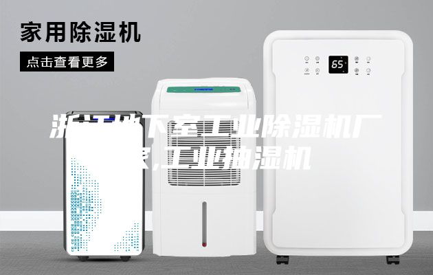 浙江地下室工业除湿机厂家,工业抽湿机