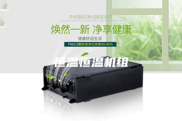 恒温恒温机组