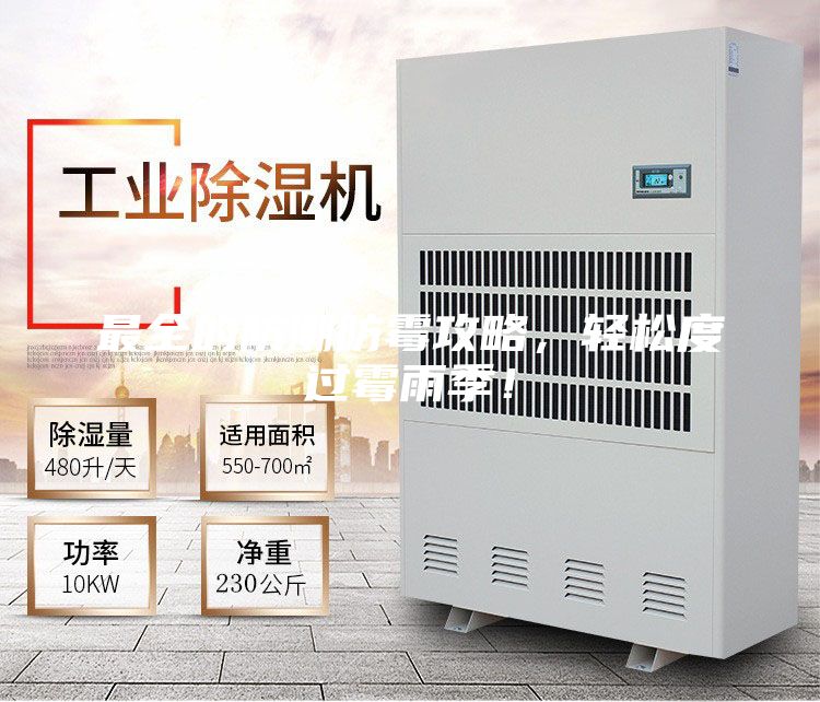 最全的防潮防霉攻略，轻松度过霉雨季！