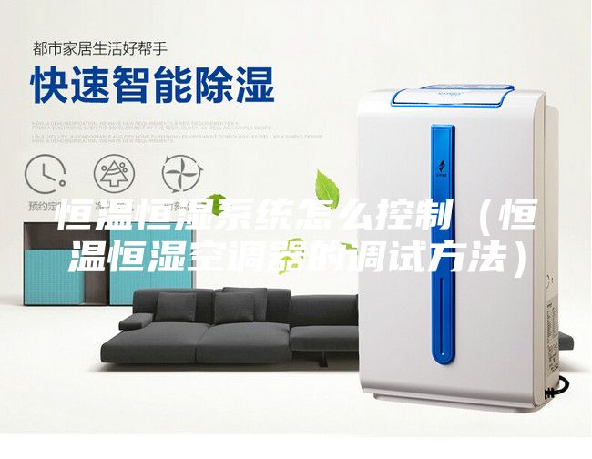 恒温恒湿系统怎么控制（恒温恒湿空调器的调试方法）