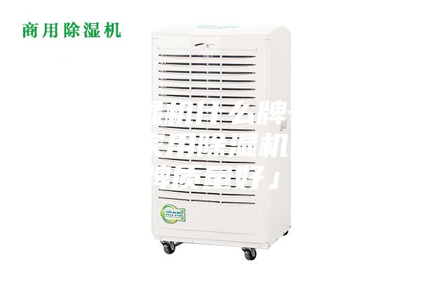 家用除湿机什么牌子的质量好「家用除湿机什么品牌质量好」