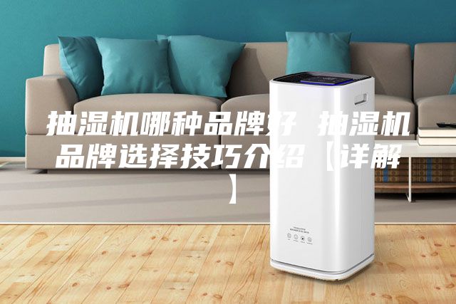 抽湿机哪种品牌好 抽湿机品牌选择技巧介绍【详解】