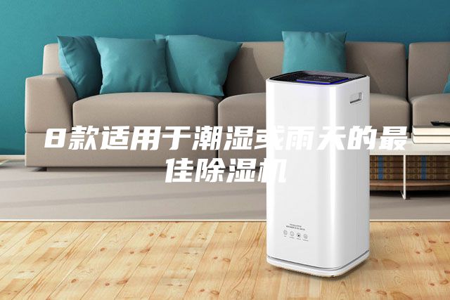 8款适用于潮湿或雨天的最佳除湿机