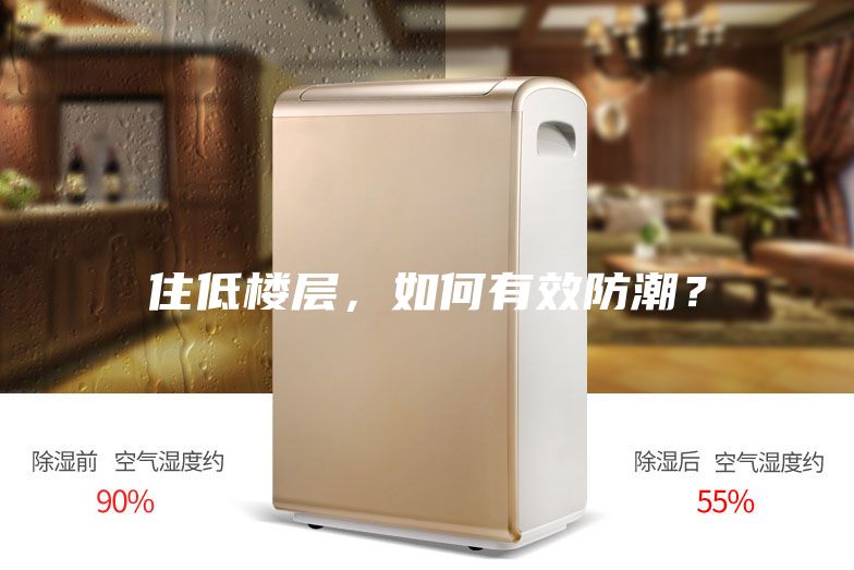 住低楼层，如何有效防潮？