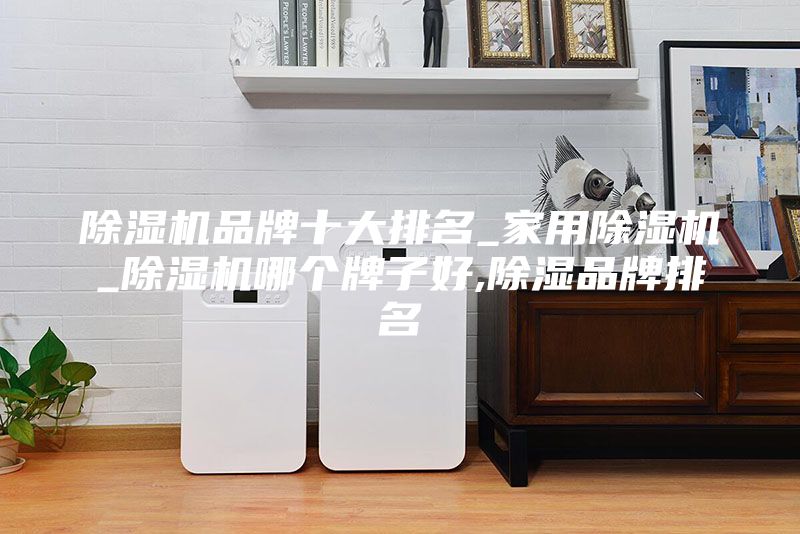 除湿机品牌十大排名_家用除湿机_除湿机哪个牌子好,除湿品牌排名