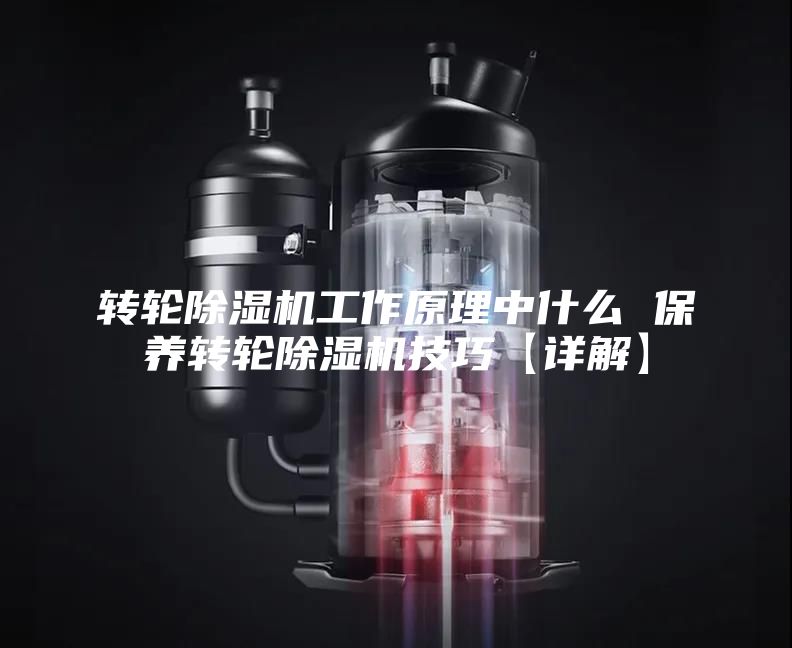 转轮除湿机工作原理中什么 保养转轮除湿机技巧【详解】
