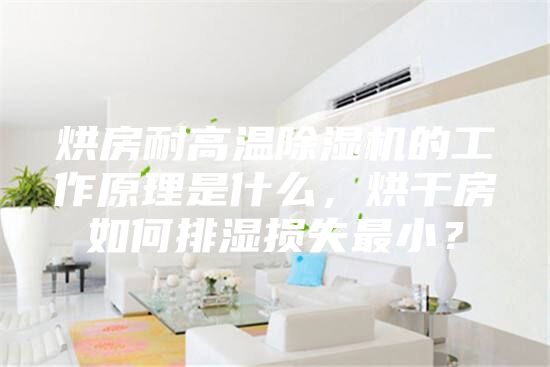 烘房耐高温除湿机的工作原理是什么，烘干房如何排湿损失最小？