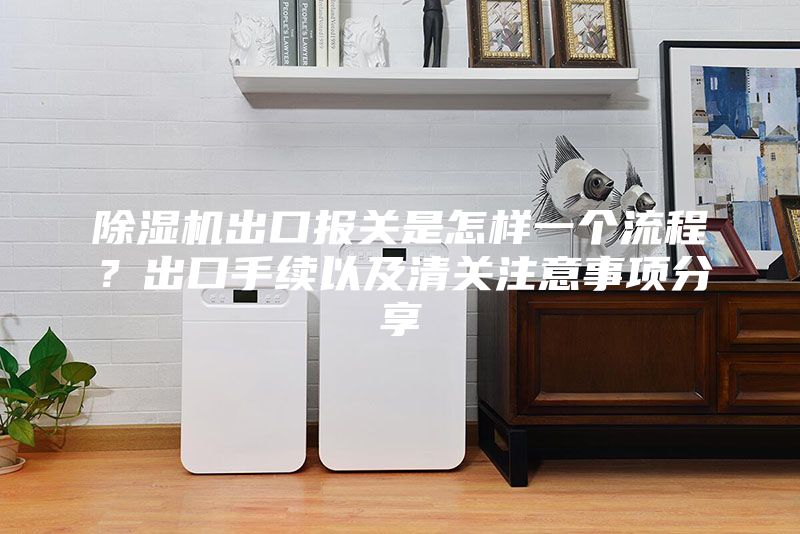 除湿机出口报关是怎样一个流程？出口手续以及清关注意事项分享