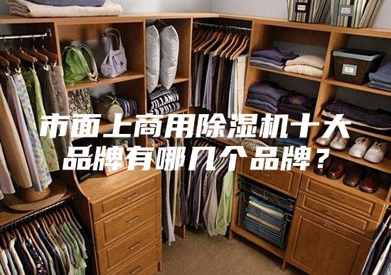 市面上商用除湿机十大品牌有哪几个品牌？