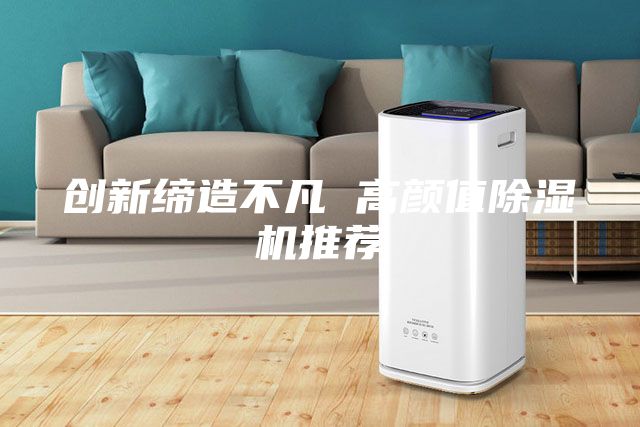创新缔造不凡 高颜值除湿机推荐