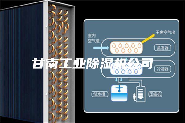 甘南工业除湿机公司