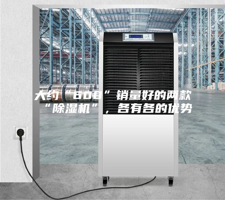 大约“600”销量好的两款“除湿机”，各有各的优势