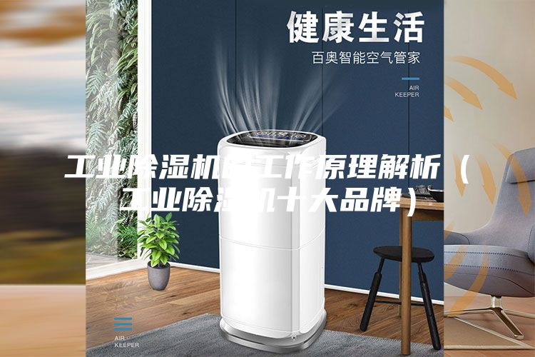 工业除湿机的工作原理解析（工业除湿机十大品牌）