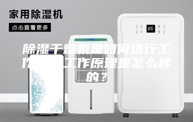 除湿干燥机是如何进行工作的，工作原理是怎么样的？
