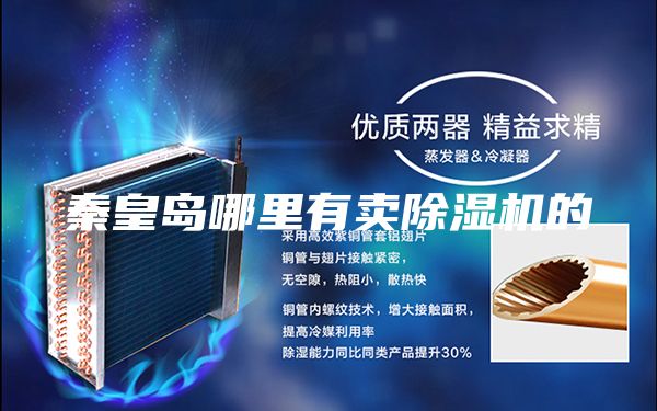 秦皇岛哪里有卖除湿机的