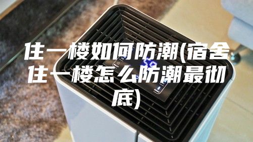 住一楼如何防潮(宿舍住一楼怎么防潮最彻底)