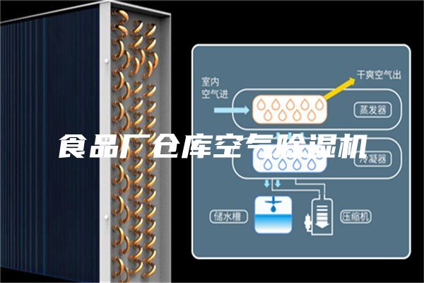 食品厂仓库空气除湿机