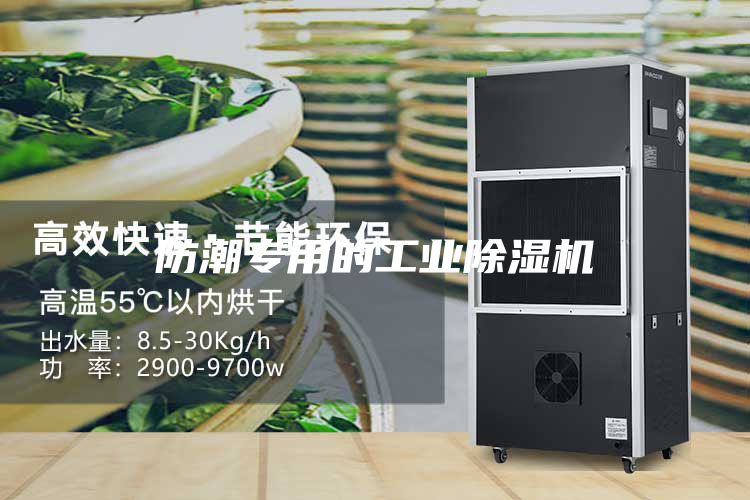 防潮专用的工业除湿机