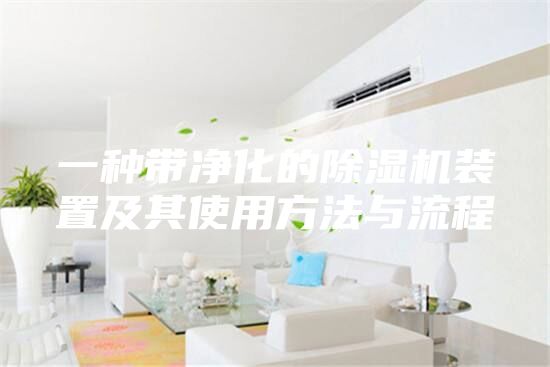 一种带净化的除湿机装置及其使用方法与流程