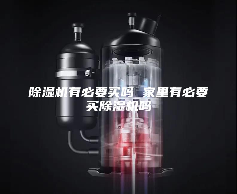 除湿机有必要买吗 家里有必要买除湿机吗