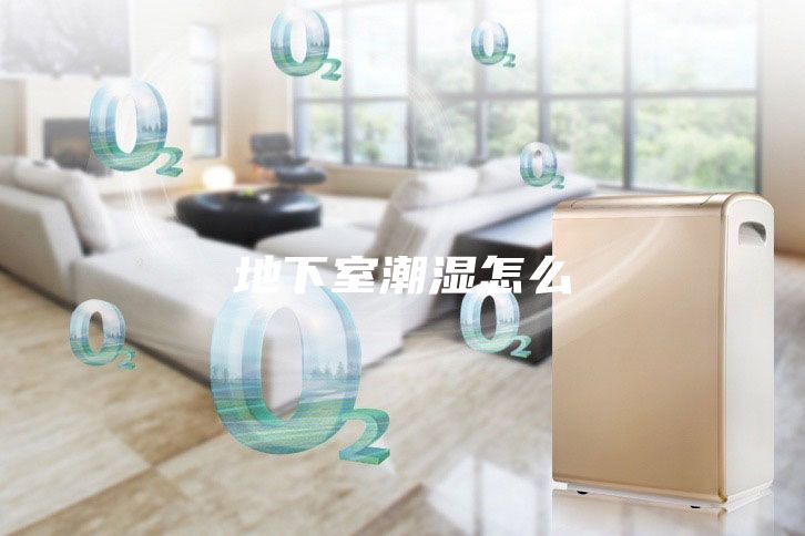 地下室潮湿怎么