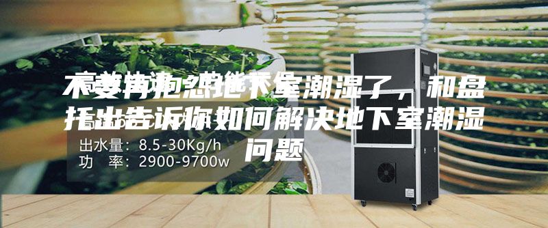 不要再抱怨地下室潮湿了，和盘托出告诉你如何解决地下室潮湿问题