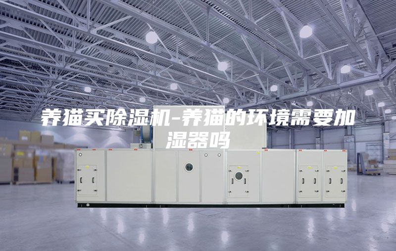 养猫买除湿机-养猫的环境需要加湿器吗
