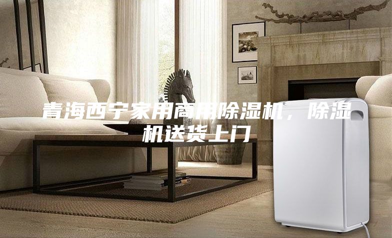 青海西宁家用商用除湿机，除湿机送货上门