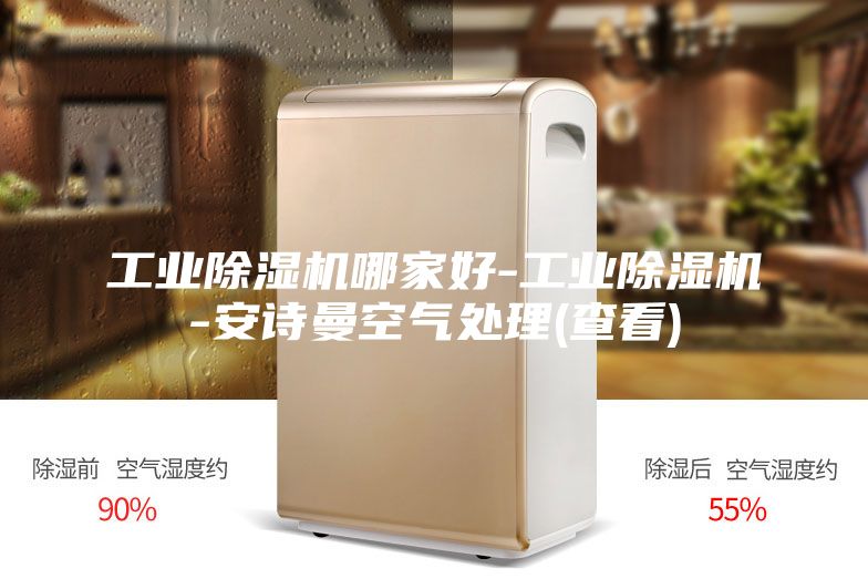 工业除湿机哪家好-工业除湿机-安诗曼空气处理(查看)